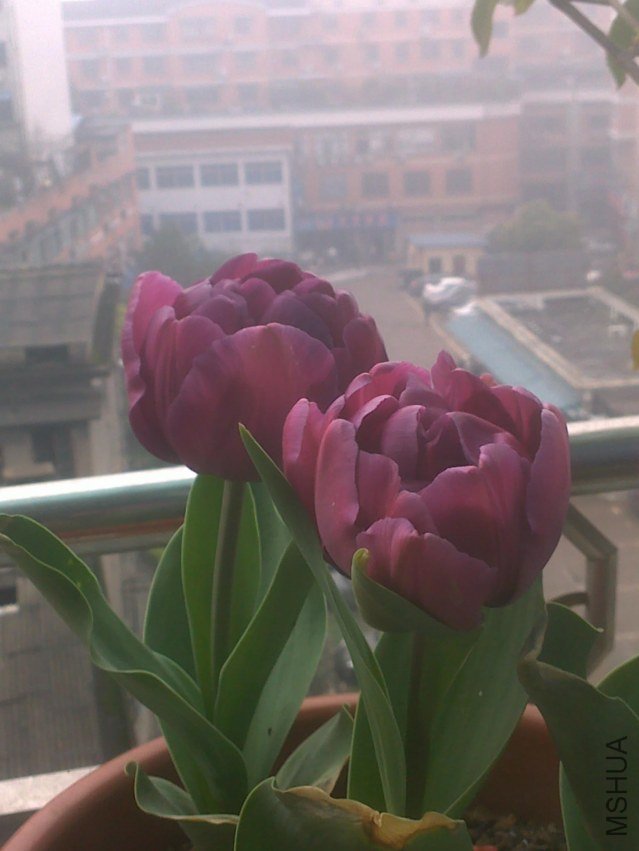 201303171146.jpg