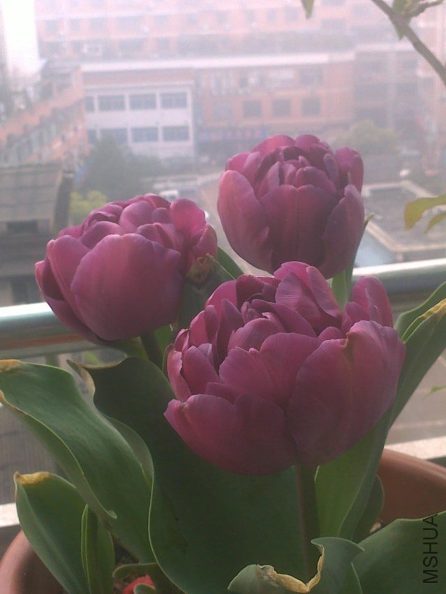 201303171147.jpg