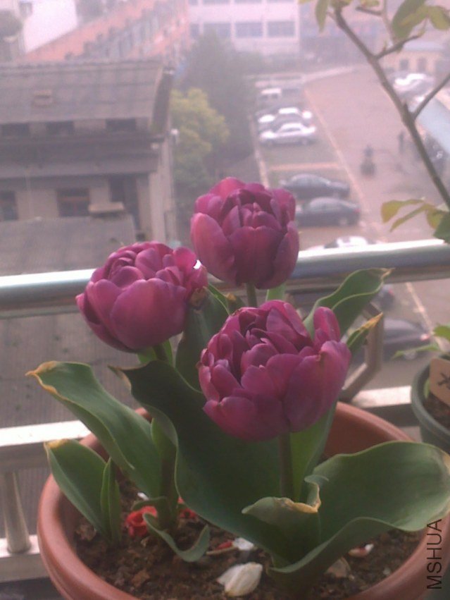 201303171149.jpg