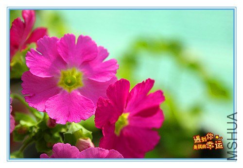 ��Ƭ 042_����.jpg