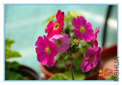 ��Ƭ 039_����.jpg