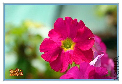 ��Ƭ 041_����.jpg