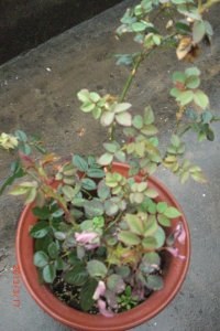 QBFS70CADFYWHPCAHW00YRCA20FHWLCALOFMKKCADJ6EILCA7V5YVOCAWCEY3MCATHQT4QCAF8077DCA.jpg