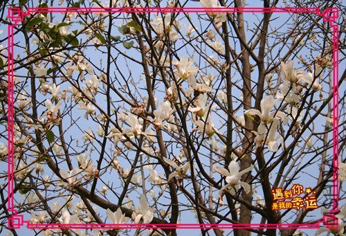 ��Ƭ 228_����.jpg