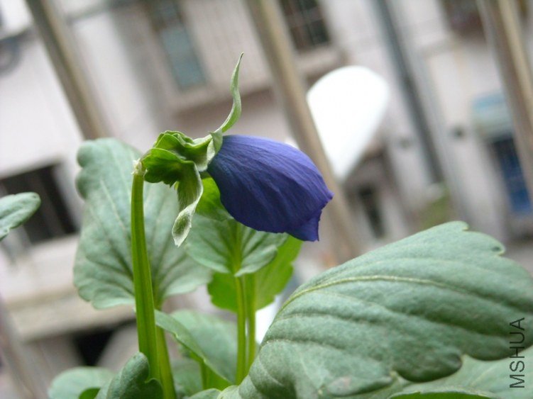 ��������ͬ����ְ׻���