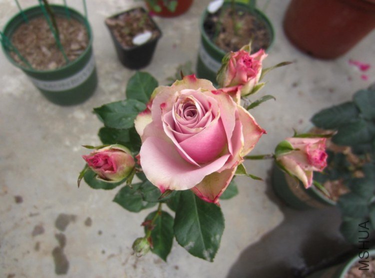 }F3)6ZK[$(Y3K%GNUB0LC73.jpg