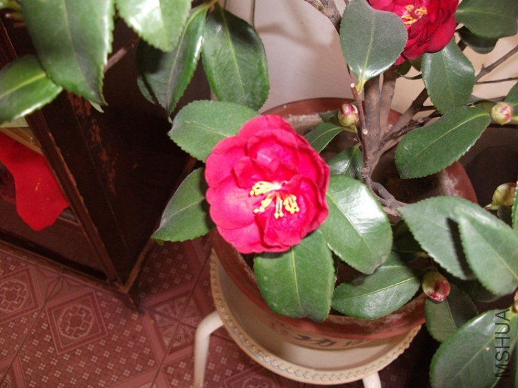 ��Ƭ 004_����.jpg