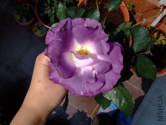 DSCF1042.JPG