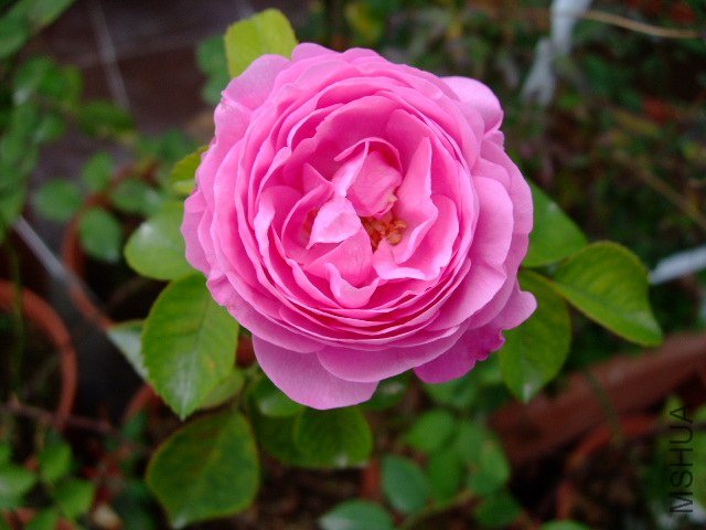 DSCF1059.JPG