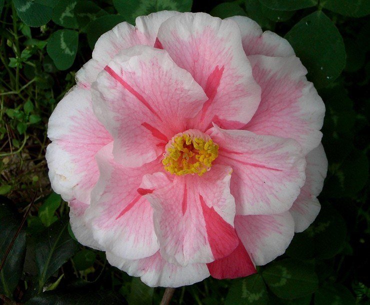 ~U4}8%7RKD(35B9DN(1K_[H.jpg