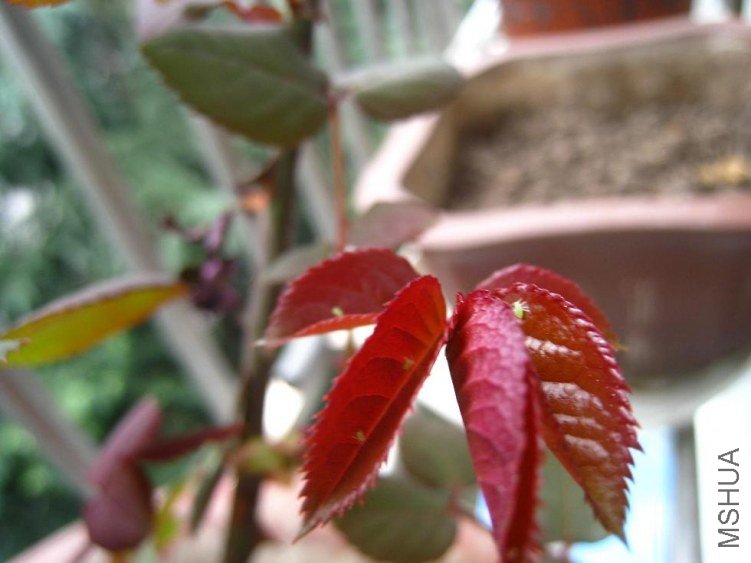 20130317 006.jpg