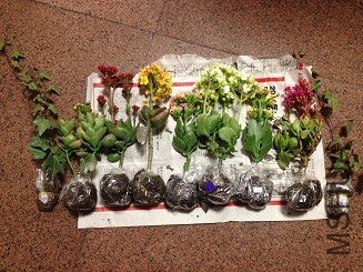 ÿ�ö��ܽ�׳����װ����ݶ��ܸ���