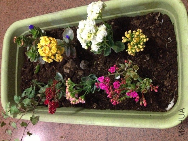 ����MM������軹û����������һ�������ˣ����������ȹ����������԰�