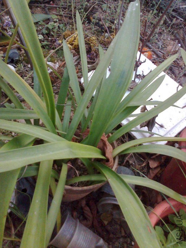 ��Ƭ1466.JPG