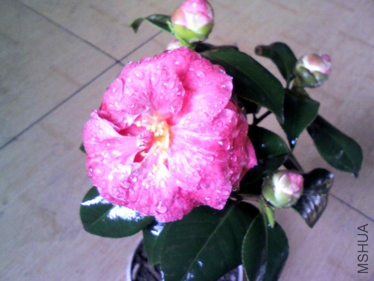 YP20130204142454.jpg