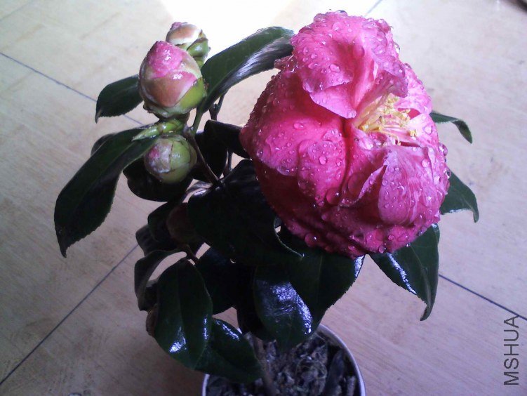 YP20130204142508.jpg