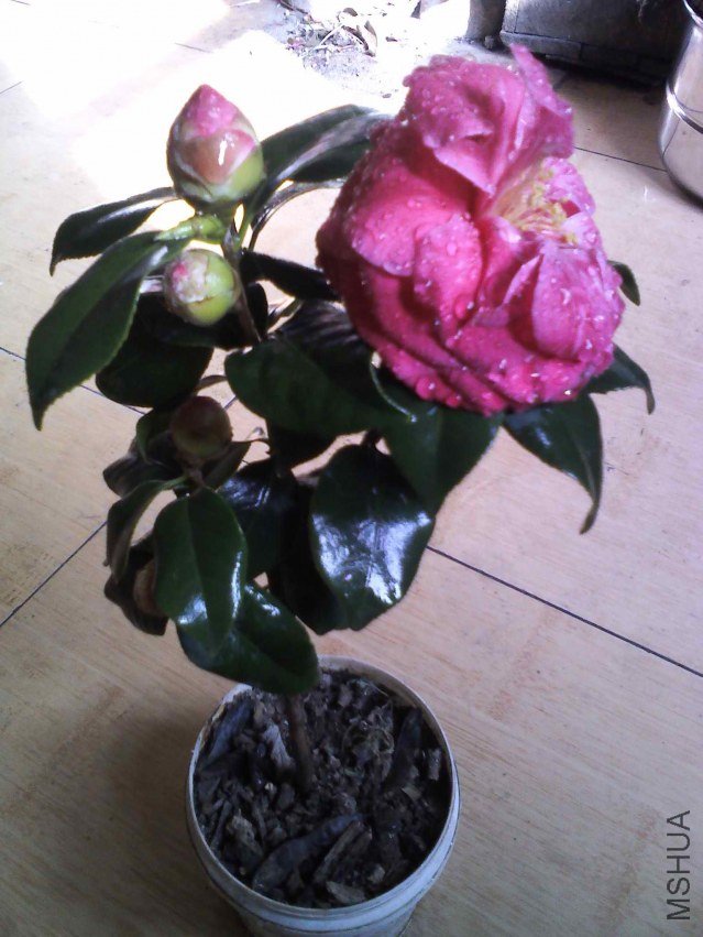 YP20130204142520.jpg