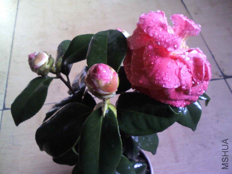 YP20130204142535.jpg