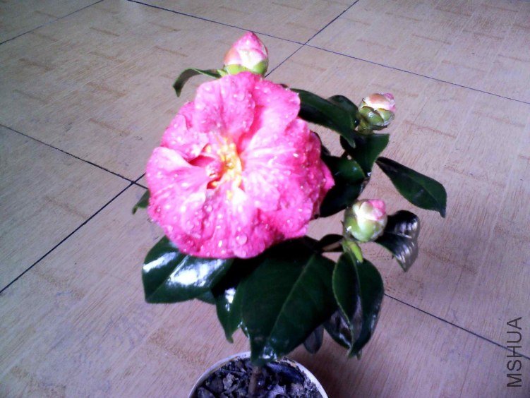 YP20130204142549.jpg