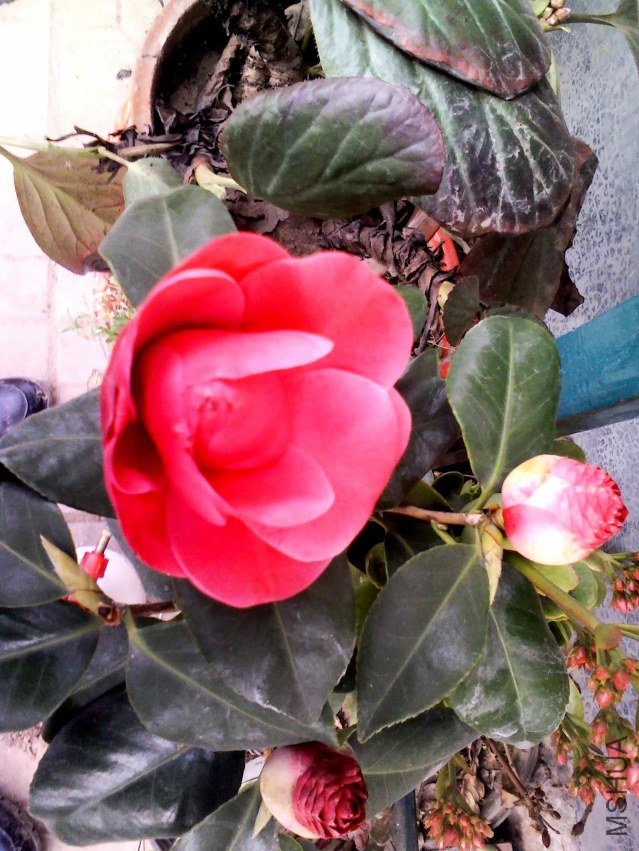 YP20130217093258.jpg