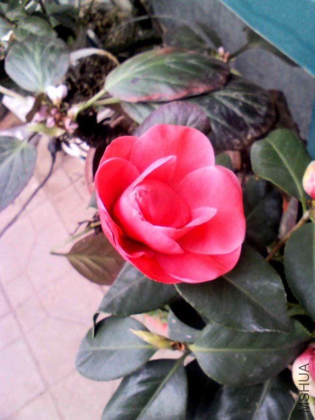 YP20130217093309.jpg