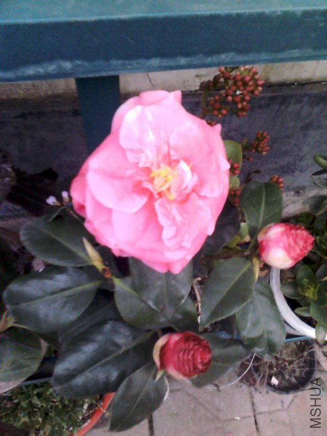 YP20130221065528.jpg