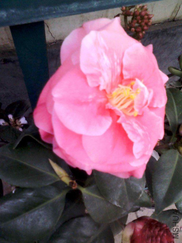 YP20130221065538.jpg