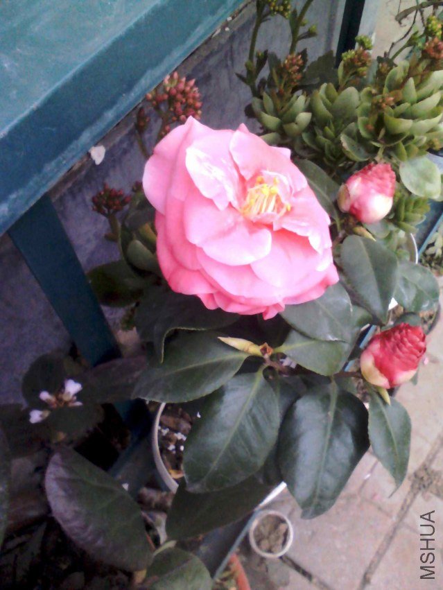 YP20130221065552.jpg
