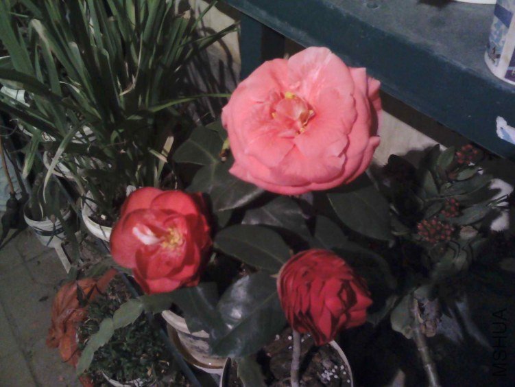 YP20130223185715.jpg