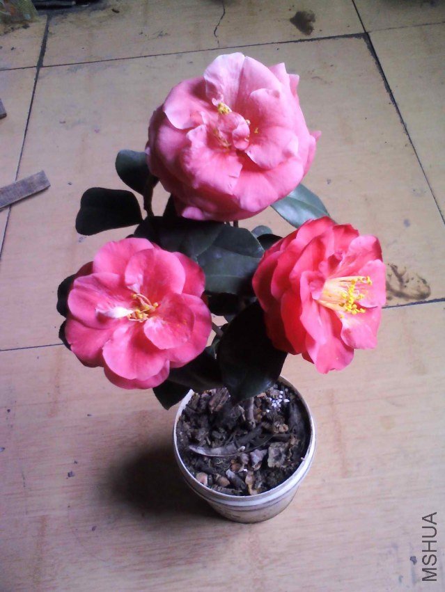 YP20130226124905.jpg