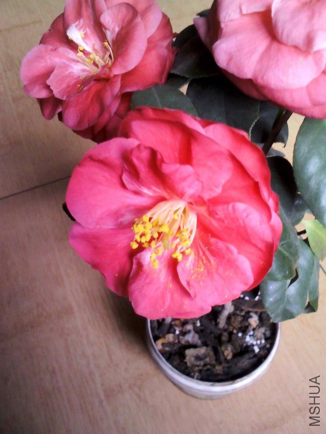 YP20130226124917.jpg