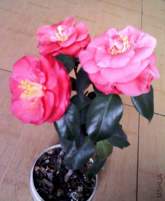 YP20130226124932.jpg