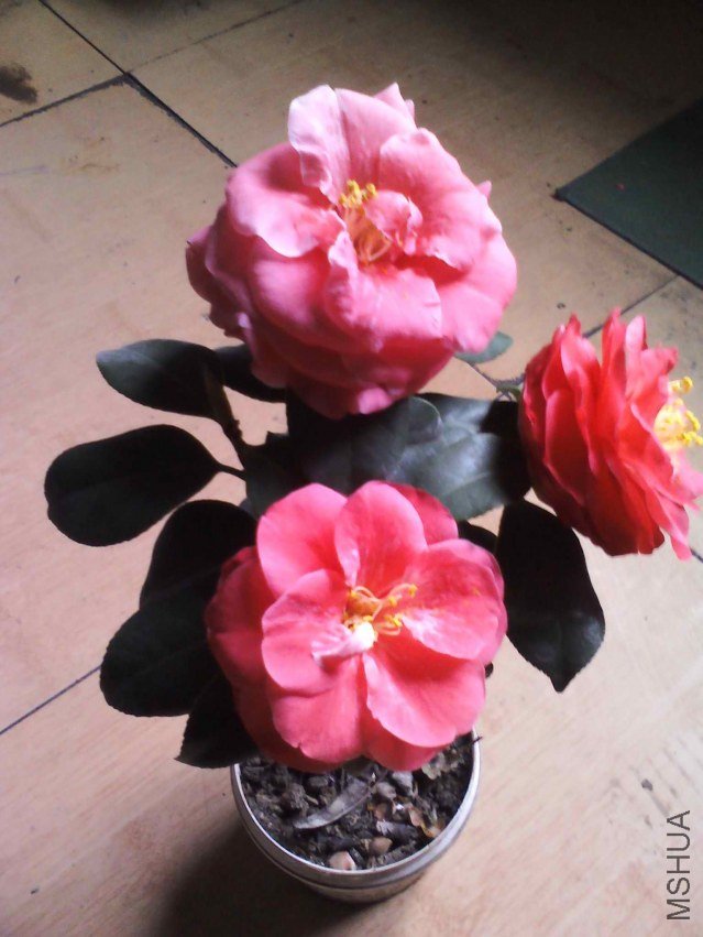 YP20130226125007.jpg