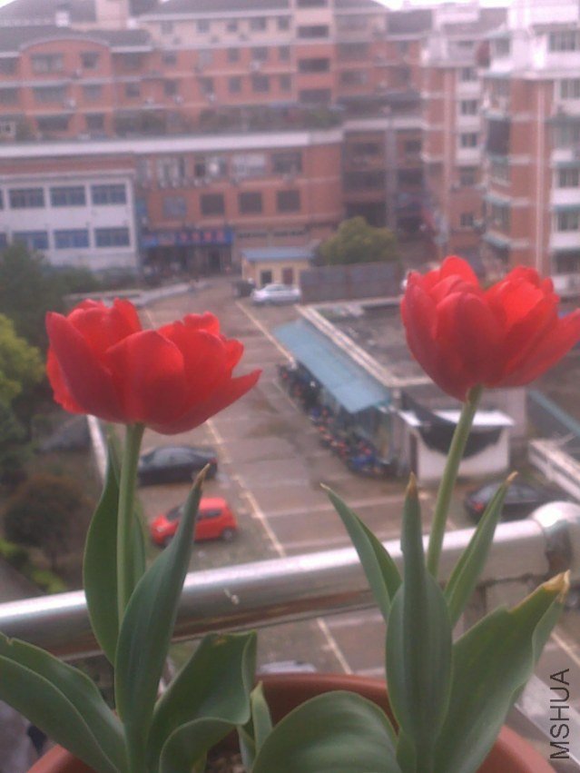 201303181155.jpg