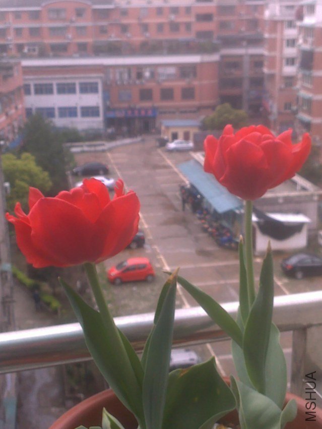 201303181156.jpg