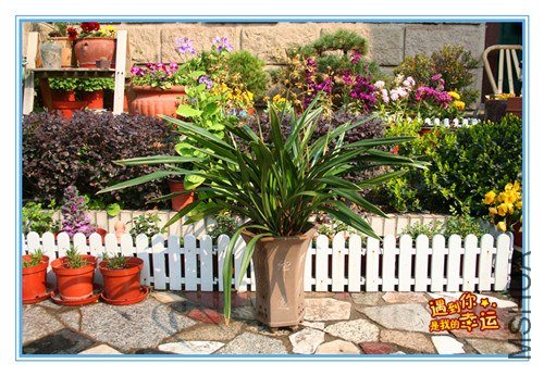 ��Ƭ 053_����.jpg