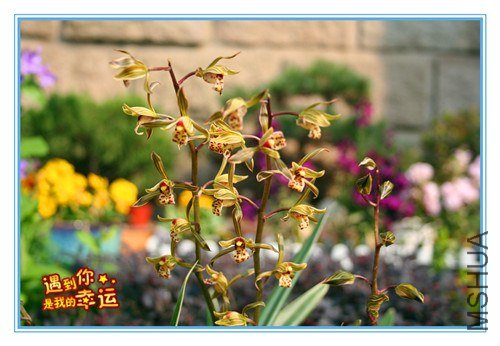 ��Ƭ 055_����.jpg