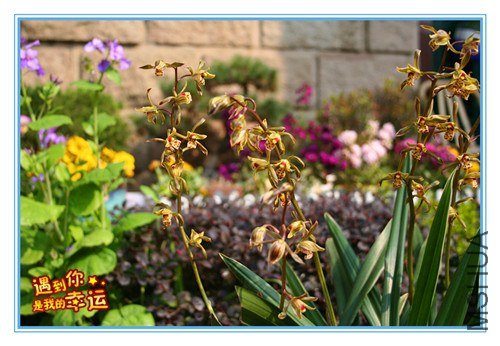 ��Ƭ 057_����.jpg