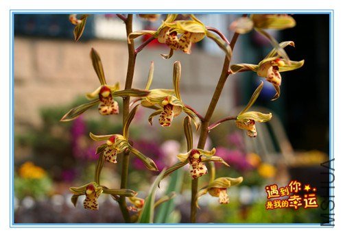 ��Ƭ 060_����.jpg