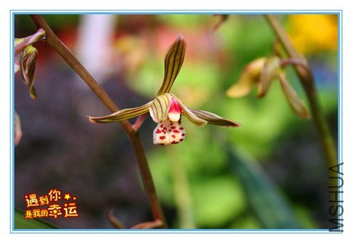 ��Ƭ 062_����.jpg