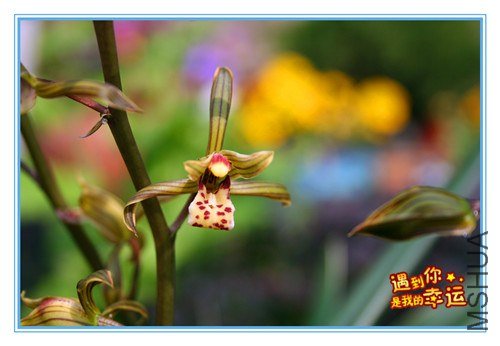 ��Ƭ 063_����.jpg