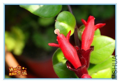 ��Ƭ 136_����.jpg