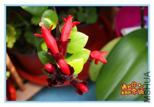 ��Ƭ 134_����.jpg