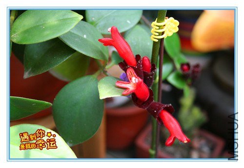 ��Ƭ 135_����.jpg