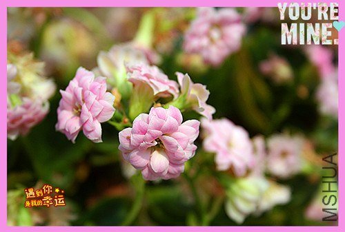 ��Ƭ 144_����.jpg