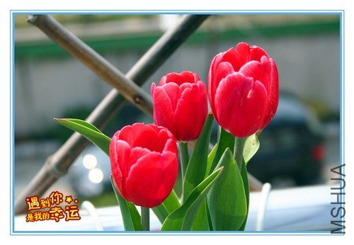 ��Ƭ 146_����.jpg