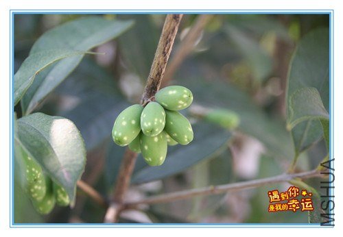 ��Ƭ 239_����.jpg