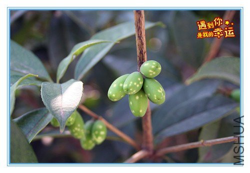 ��Ƭ 236_����.jpg