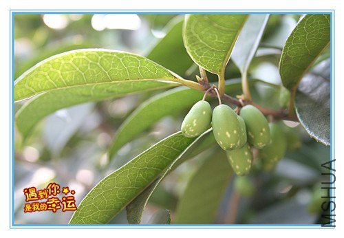 ��Ƭ 237_����.jpg