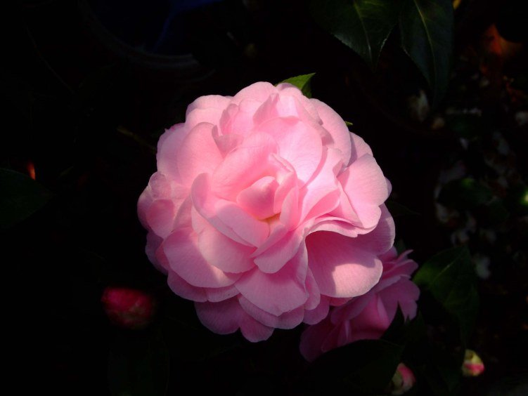 ������˹ 2013-3-18 180.jpg